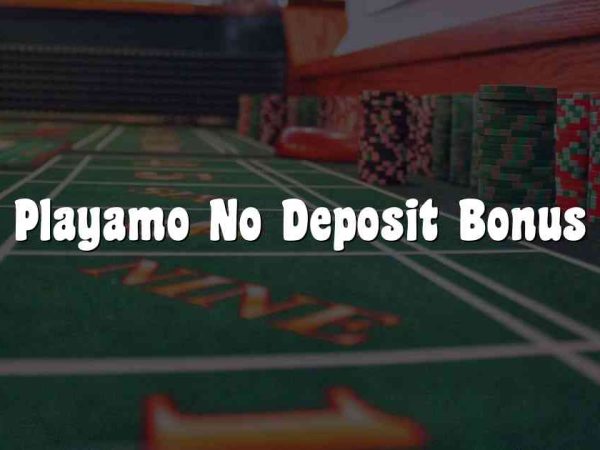 Playamo No Deposit Bonus